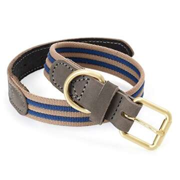 Mile High Life | Genuine Leather Dog Collar | Heavy Duty Canvas Dog Collars with Adjustable Rust-Pro...