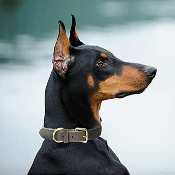 Mile High Life | Genuine Leather Dog Collar | Heavy Duty Canvas Dog Collars with Adjustable Rust-Proof Metal Pin Buckle | Boy Dog Collars for Small Dogs(Pin Buckle-Navy)