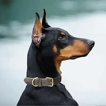 Mile High Life | Genuine Leather Dog Collar | Heavy Duty Canvas Dog Collars with Adjustable Rust-Proof Metal Pin Buckle | Boy Dog Collars for Small Dogs(Pin Buckle-Navy)