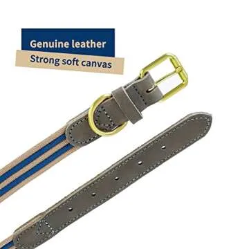 Mile High Life | Genuine Leather Dog Collar | Heavy Duty Canvas Dog Collars with Adjustable Rust-Proof Metal Pin Buckle | Boy Dog Collars for Small Dogs(Pin Buckle-Navy)