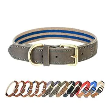 Mile High Life | Genuine Leather Dog Collar | Heavy Duty Canvas Dog Collars with Adjustable Rust-Proof Metal Pin Buckle | Boy Dog Collars for Small Dogs(Pin Buckle-Navy)