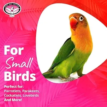 Super Bird Creations Cascade Mini Bird Toy for Small Birds