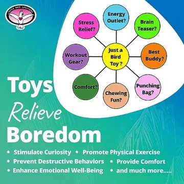 Super Bird Creations Cascade Mini Bird Toy for Small Birds