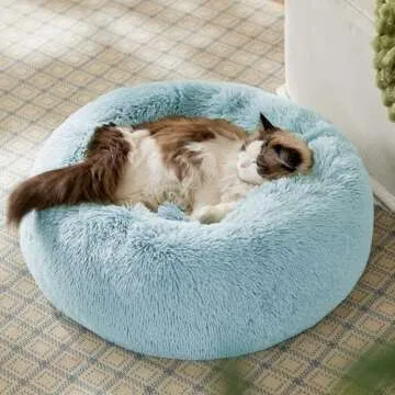Bedsure Calming Cat Beds for Indoor Cats - Small Cat Bed Washable 20 inches, Anti-Slip Round Fluffy Plush Faux Fur Pet Bed, Fits up to 15 lbs Pets, Aqua Blue
