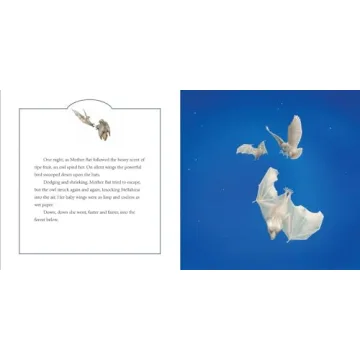 Stellaluna 25th Anniversary Edition Picture Book