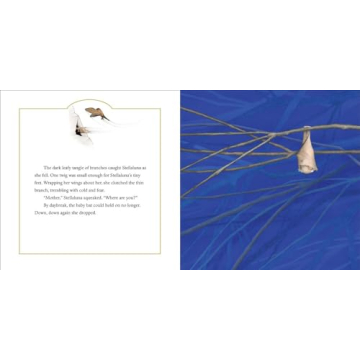 Stellaluna 25th Anniversary Edition Picture Book