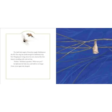 Stellaluna 25th Anniversary Edition Picture Book