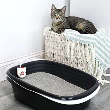 Petmate Arm & Hammer Cat Litter Pan Purrifying Pak, Removeable 30 Day Litter Box Deodorizer, 3-Pack