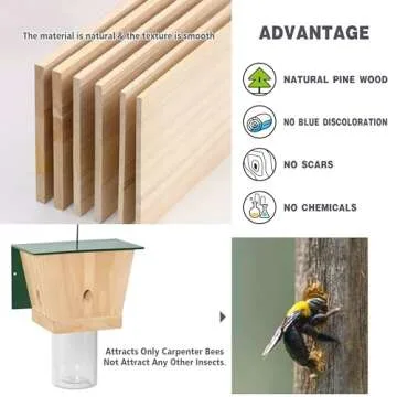 Best Carpenter Bee Trap - Eco-Friendly for Outdoor Use