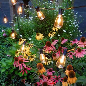 10ft Couah Outdoor String Lights with Edison Bulbs