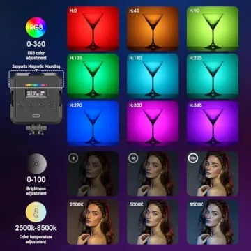 NEEWER RGB Video Light, Portable 61 LED Camera Light