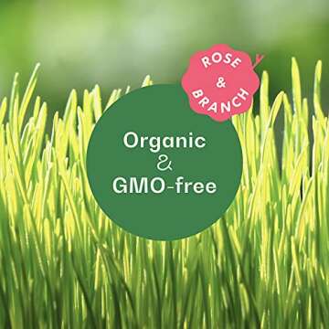 Organic Wheat Grass Seeds, Cat Grass Seeds - 16Ounces - 100% Organic Non-GMO - Hard Red Wheat, Harve...