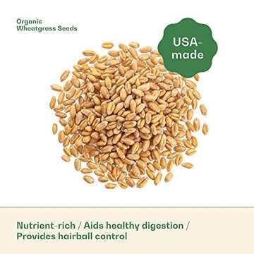 Organic Wheat Grass Seeds, Cat Grass Seeds - 16Ounces - 100% Organic Non-GMO - Hard Red Wheat, Harvested in The US. Easy to Grow Green