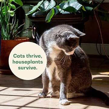 Organic Wheat Grass Seeds, Cat Grass Seeds - 16Ounces - 100% Organic Non-GMO - Hard Red Wheat, Harvested in The US. Easy to Grow Green