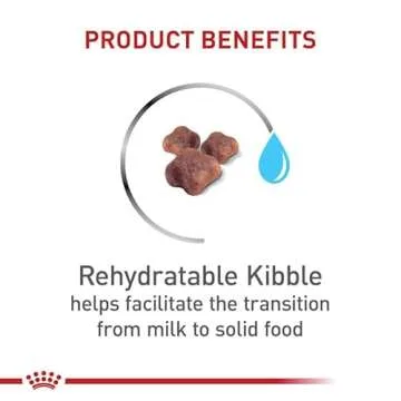 Royal Canin Feline Health Nutrition Mother & Babycat Dry Cat Food for Newborn Kittens and Pregnant or Nursing Cats, 6 lb bag