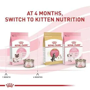 Royal Canin Feline Health Nutrition Mother & Babycat Dry Cat Food for Newborn Kittens and Pregnant or Nursing Cats, 6 lb bag