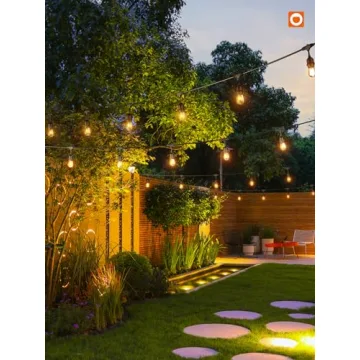 Addlon 48FT Outdoor String Lights with 18 Edison Bulbs