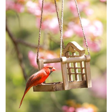 Audubon Park Cardinal Blend Wild Bird Food for Backyard Birds