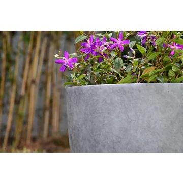 Kante 14 Inch Concrete Planter Durable Stylish Indoor Outdoor