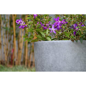 Kante 14 Inch Concrete Planter Durable Stylish Indoor Outdoor