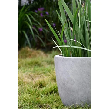 Kante 14 Inch Concrete Planter Durable Stylish Indoor Outdoor