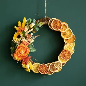 Elevate Cocktails with TASTELLA Dried Citrus Slices