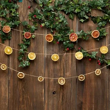 Elevate Cocktails with TASTELLA Dried Citrus Slices