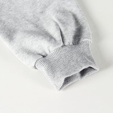 Artfish Women's Long Sleeve Crop Sweatshirt in Heather Grey