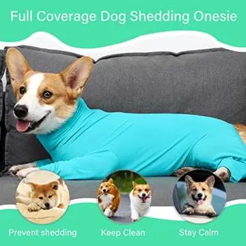 Etdane Recovery Suit for Dogs - Comfort & Calmness