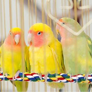 Bird Rope Perches for Parrots, Cockatiels, Parakeets, Budgie Cages Comfy Birds Colorful Rope Toy (41...