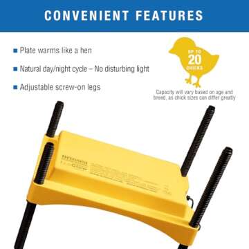 Brinsea Ecoglow Safety 600 Chick or Duckling Brooder, Adjustable Height & Angle Brooder Plate for 20 Chicks, Ideal for Chicken Coops Poultry Heating with Safety Indicator, 12 Watts
