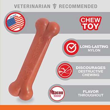Durable Nylabone Original Bone Power Chew for Dogs - Tough Chew Toy