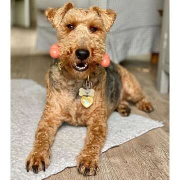 Nylabone Power Chew Toy for Aggressive Chewers - Bacon Flavor