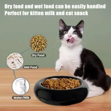 Stylish Ceramic Cat Bowl for Whisker Fatigue Relief 6.1 Inch