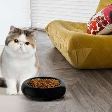 Stylish Ceramic Cat Bowl for Whisker Fatigue Relief 6.1 Inch