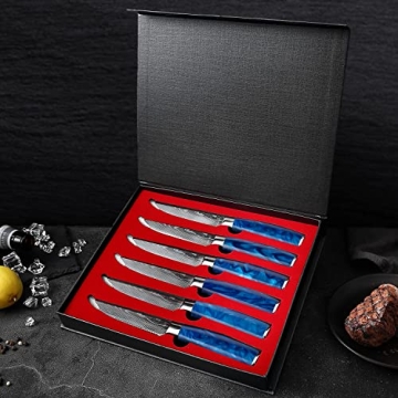 Premium XT XITUO Steak Knife Set in Elegant Gift Box