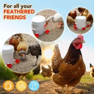 (10 Pack) Chicken Waterer, Chicken Water Feeder, Chicken Water Cups, Poultry Waterer, Automatic Chicken Waterer, It Comes with (10) Fixed Double-Sided Adhesive and One Drill Bit (Red)