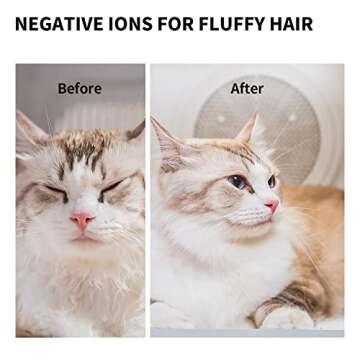 PETKIT AIRSALON MAX Automatic Pet Hair Drying Box for Cat Puppy Kitten,Ultra Quiet Hair Dryer for Small Dog Grooming,60L Large Capacity/Smart Temperature Control via App and Touch Panel