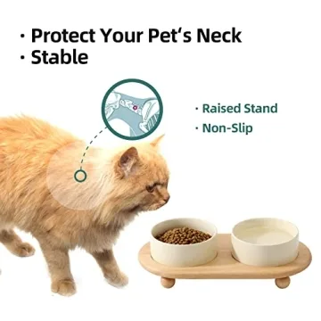 Elevated Ceramic Cat Bowl Set for Stylish Dining