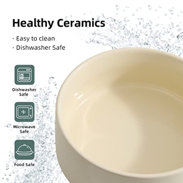 Elevated Ceramic Cat Bowl Set for Stylish Dining