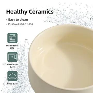 Elevated Ceramic Cat Bowl Set for Stylish Dining