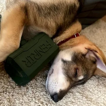 Fenrir Hammer Chew Toy for Dogs - Training & Fun