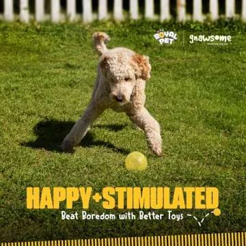 Gnawsome™ 4.5” Spiky Squeaker Ball Dog Toy - Extra Large, Cleans Teeth and Promotes Good Dental and Gum Health for Your Pet, Colors will vary, 4.5"