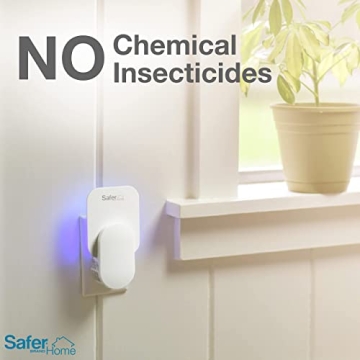 Safer Brand Indoor Fly Trap Refill Pack - 12 Glue Cards