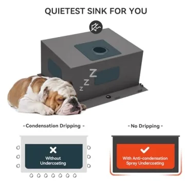 Lordear 25x22 Drop-in Laundry Sink - Stainless Steel Elegance