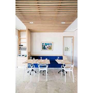 2xhome Set of 2 Stackable Contemporary Modern Designer Plastic Dining Chairs