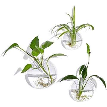 Set of 3 Wall Hanging Terrariums Indoor Plants Holders Wall Glass Vase for Flowers Planters for Succ...
