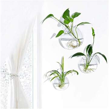 Set of 3 Wall Hanging Terrariums Indoor Plants Holders Wall Glass Vase for Flowers Planters for Succulents Air Plants Wall Mounted Decoration for Sunroom Living Room