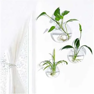 Set of 3 Wall Hanging Terrariums Indoor Plants Holders Wall Glass Vase for Flowers Planters for Succulents Air Plants Wall Mounted Decoration for Sunroom Living Room