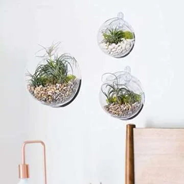 Set of 3 Wall Hanging Terrariums Indoor Plants Holders Wall Glass Vase for Flowers Planters for Succulents Air Plants Wall Mounted Decoration for Sunroom Living Room